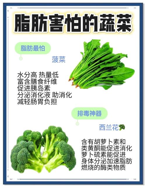 什么菜消脂减肥