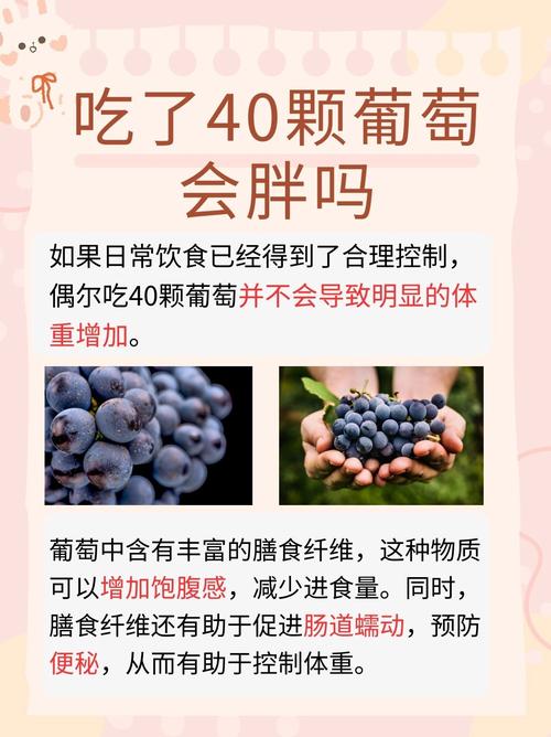 葡萄什么时候吃会减肥