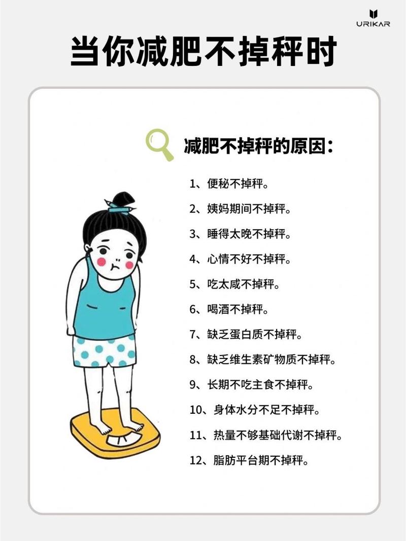 什么样的减肥不反弹