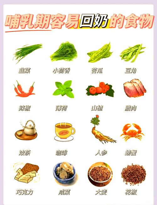 哺乳期间吃什么食物减肥