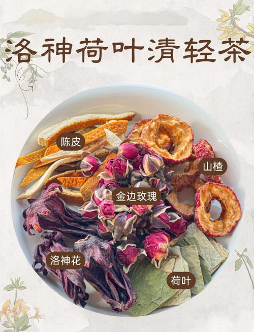 喝什么茶叶减肥效果好