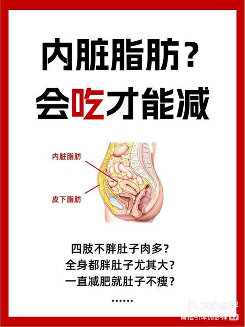 减肥吃什么减内外脂肪