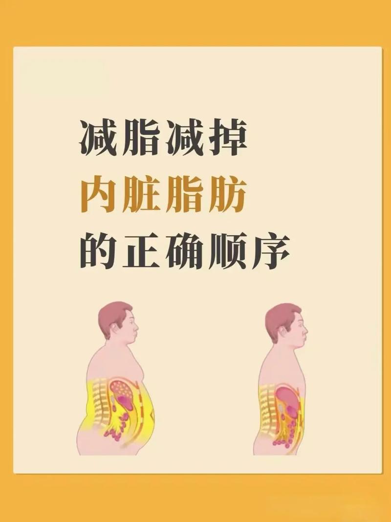 减肥吃什么减内外脂肪