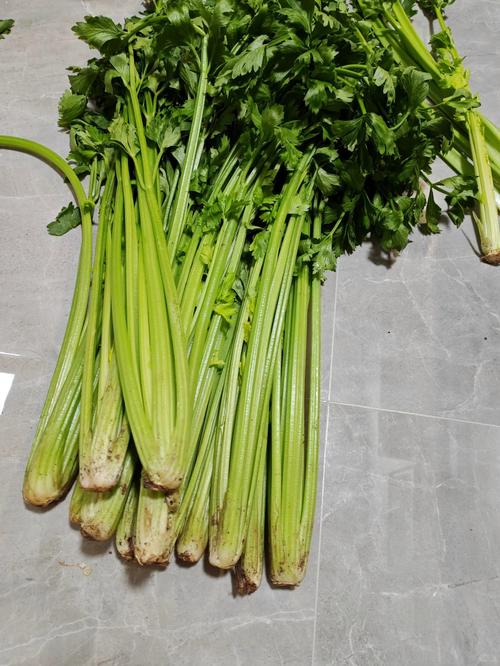 西芹什么样子