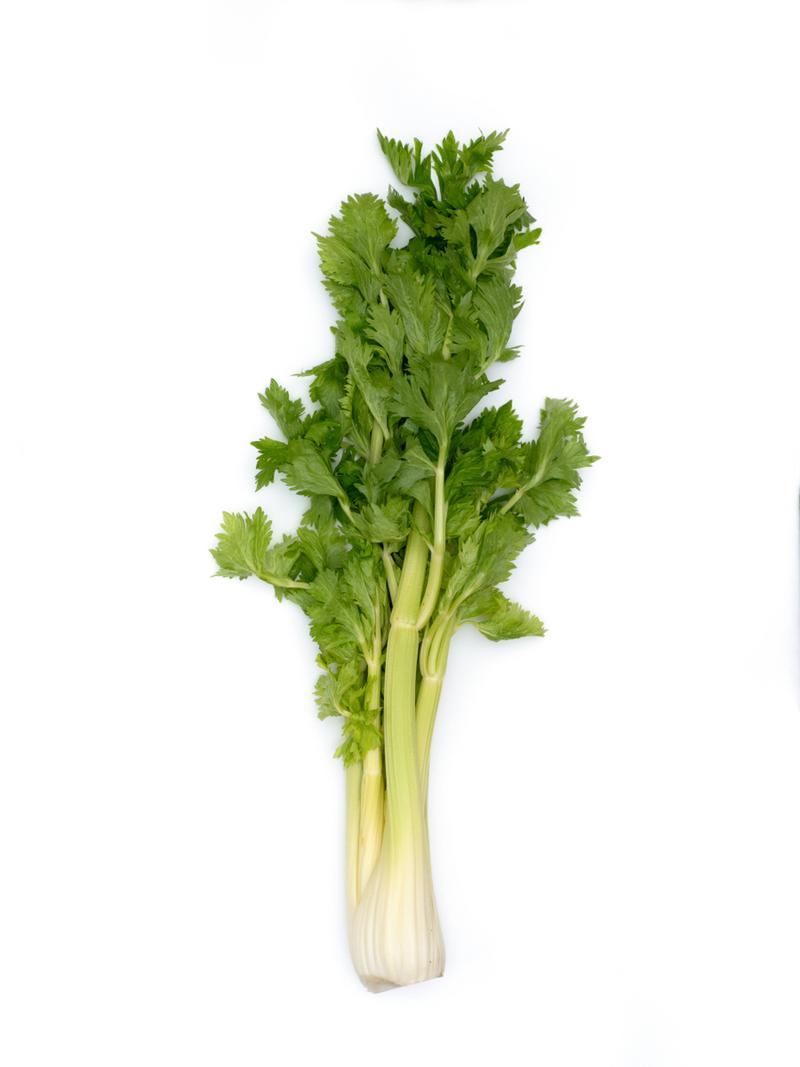 西芹什么样子