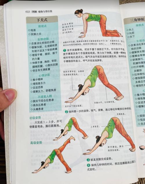 为什么肩膀会变宽