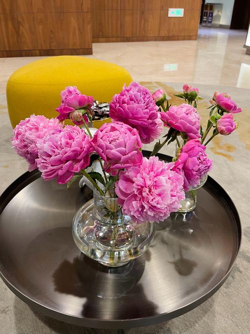 什么花最减肥效果最好