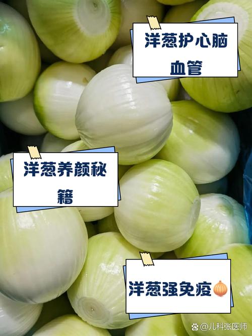 洋葱为什么可以减肥