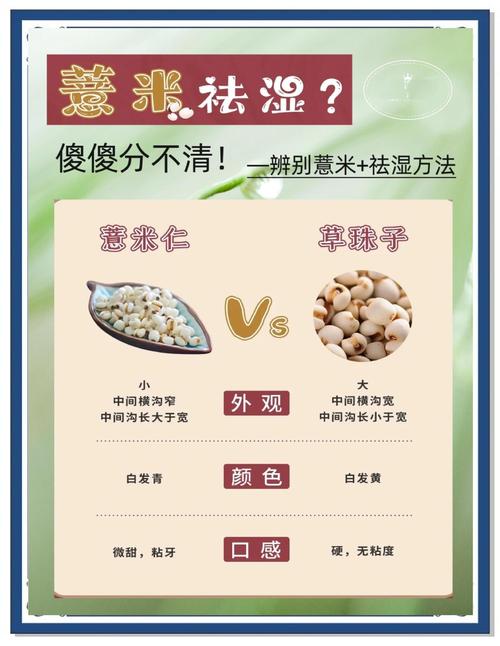 薏米为什么能减肥吗