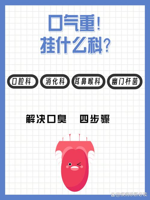 有口气挂什么科