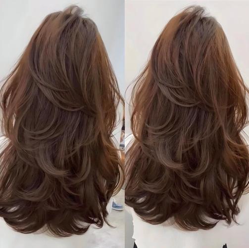 头发多适合什么