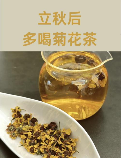 菊花和什么泡减肥瘦身