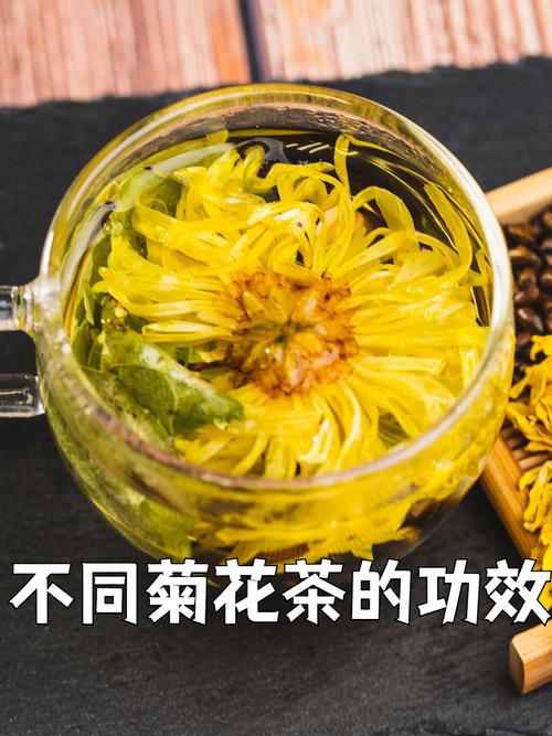 菊花和什么泡减肥瘦身