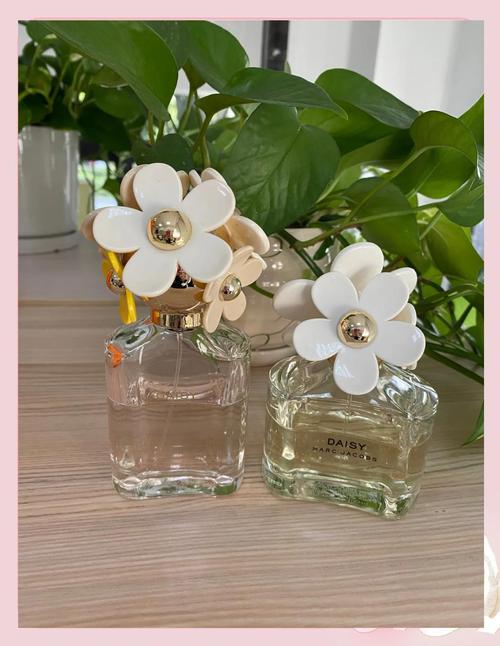 雏菊最新款香水