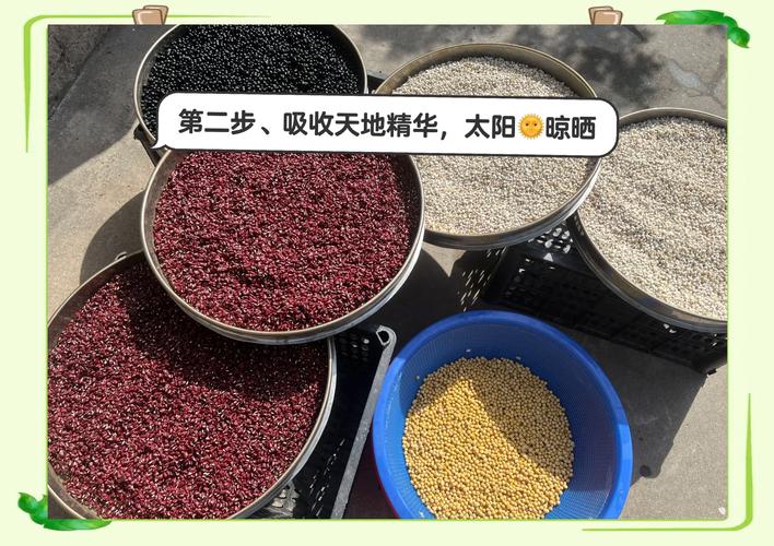 减肥代餐粉什么时候吃