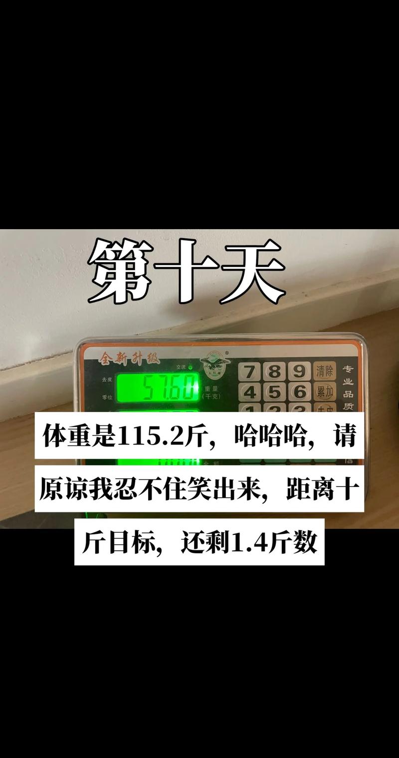 减肥10天减的是什么