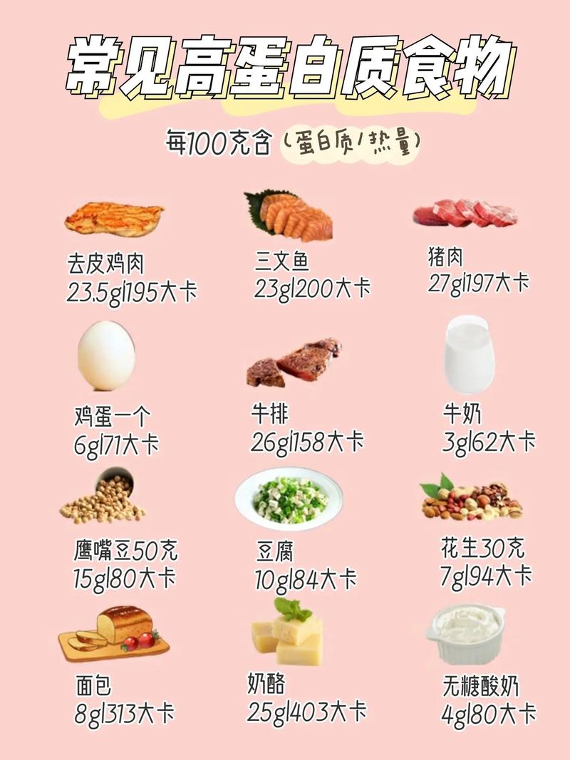 蛋白什么时候吃减肥