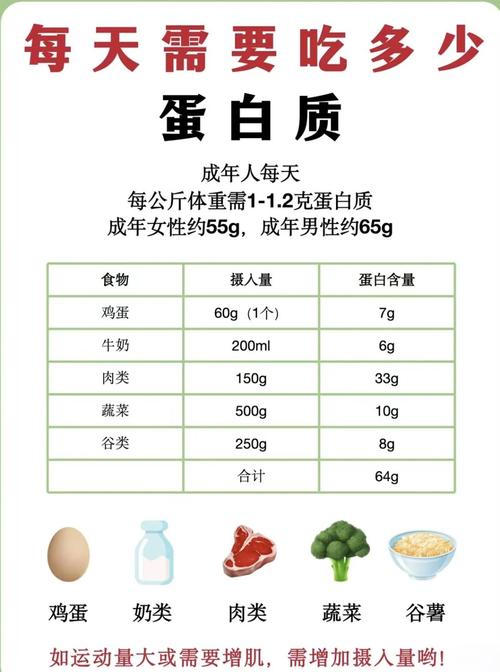蛋白什么时候吃减肥