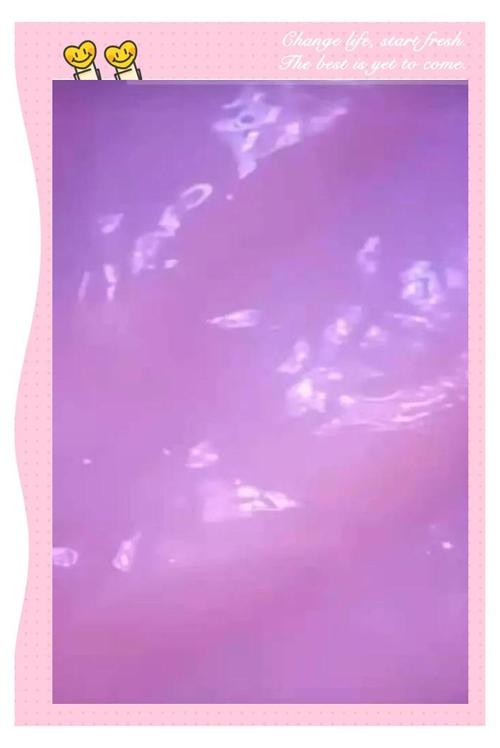 丽得姿最新款面膜