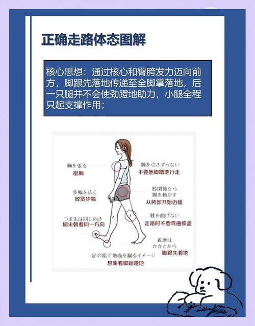 走路减肥是什么