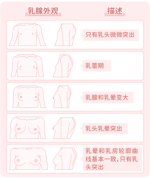 奶头大什么原因