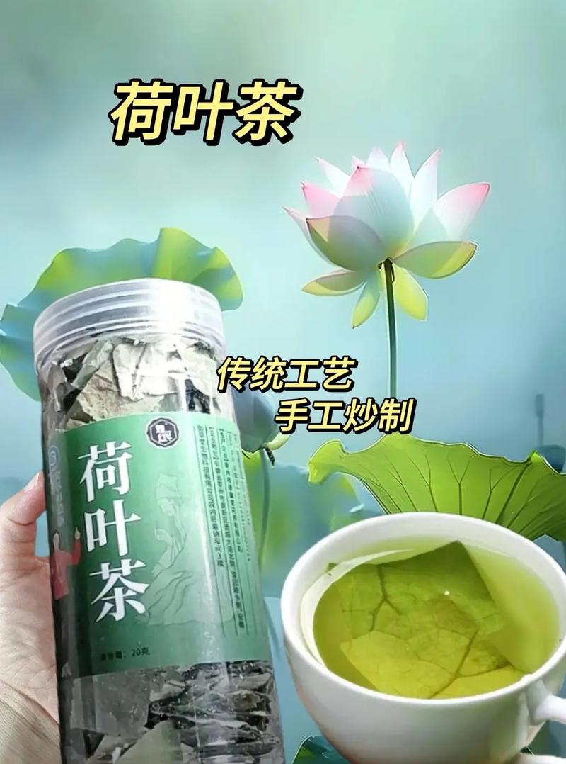 买什么荷叶茶可以减肥吗