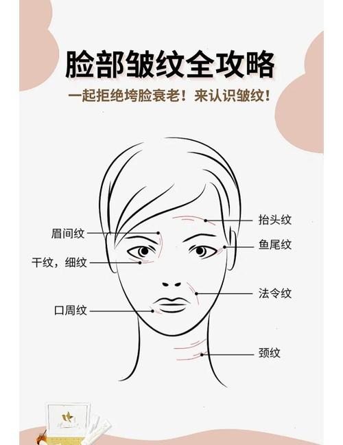 人为什么长皱纹