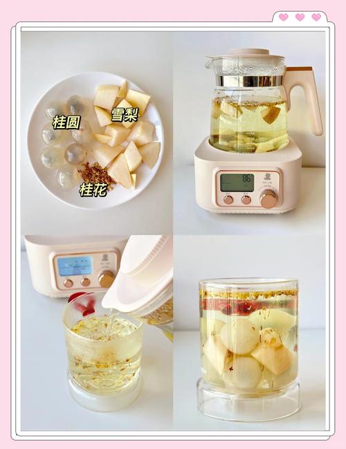 科学减肥可以和什么茶