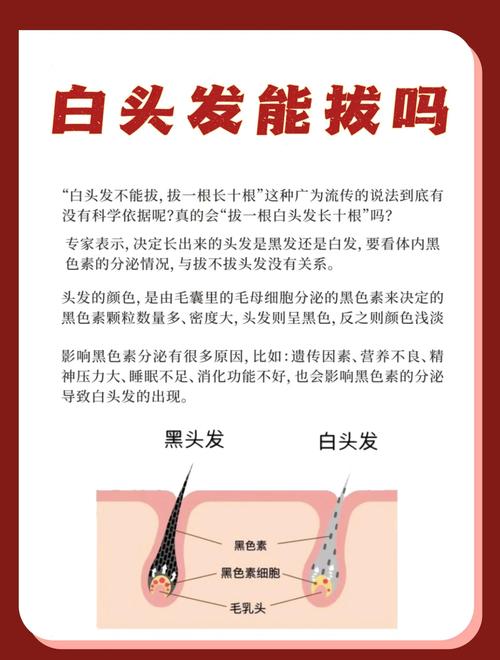 为什么会长白头发呢