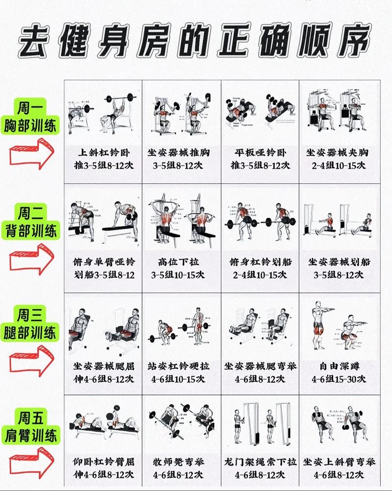 健身为什么能减肥