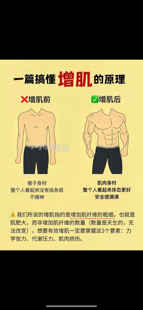 健身为什么能减肥