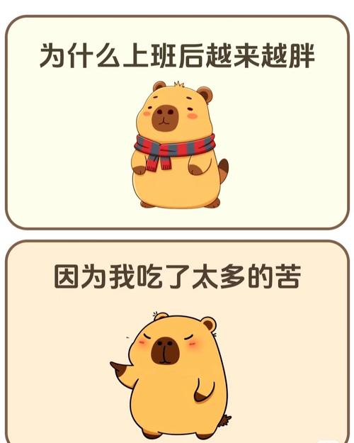 为什么脸越来越胖