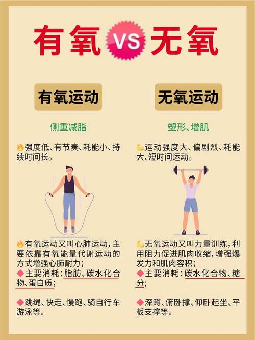 减肥为什么有氧与无氧运动
