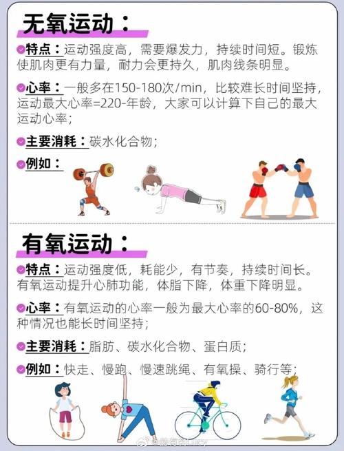 减肥为什么有氧与无氧