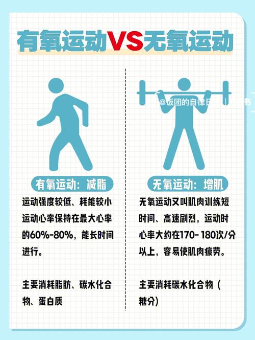 减肥为什么有氧与无氧