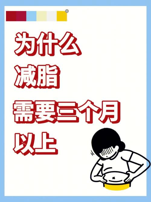 减肥为什么要三个月
