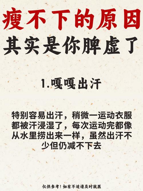 减肥为什么瘦不下去了