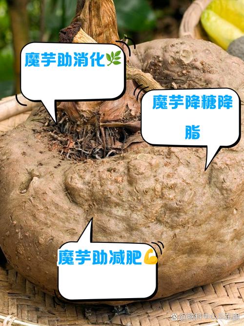 吃魔芋有什么好处