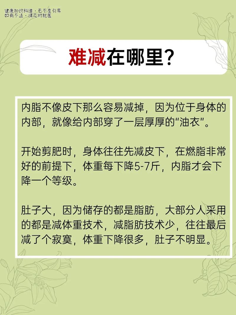 减肥为什么瘦不下去