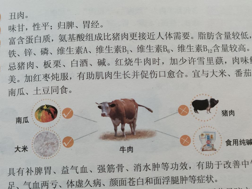 牛肉跟什么相克