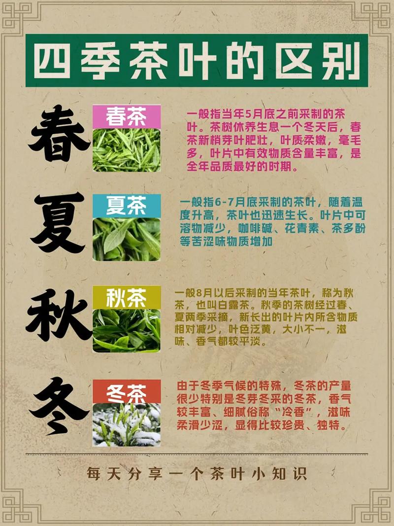 茶二对什么
