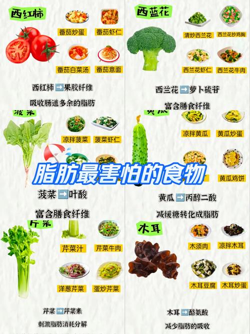 减肥吃什么油脂