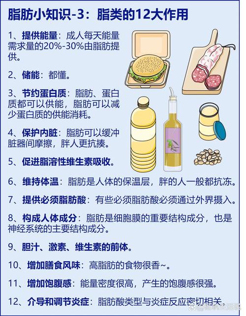 减肥吃什么油脂