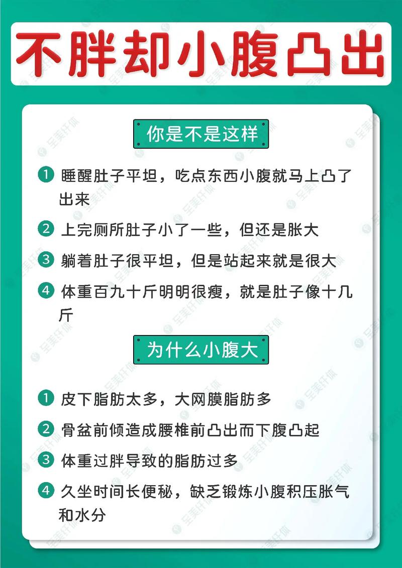 肚子肉多什么原因