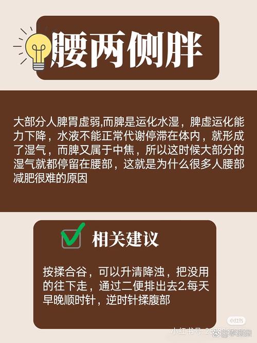 肚子肉多什么原因