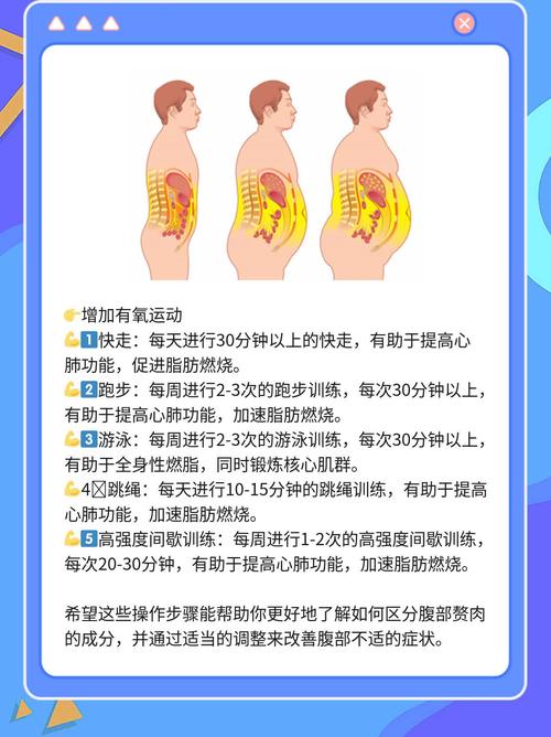 肚子肉多什么原因
