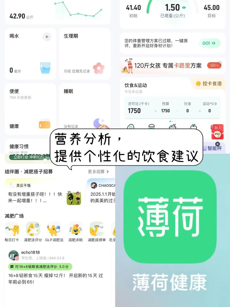 电视跳舞减肥的软件是什么软件下载