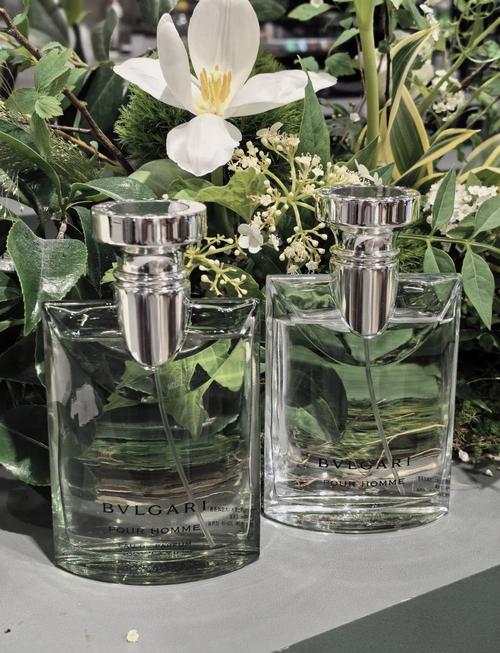 今年最新款香水