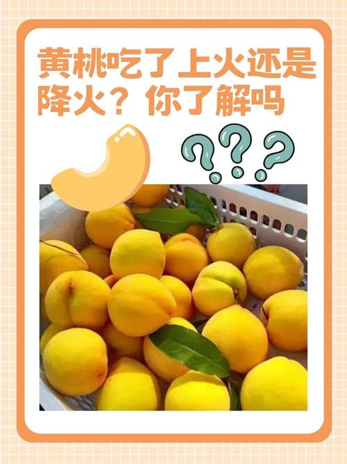 什么是降火的水果