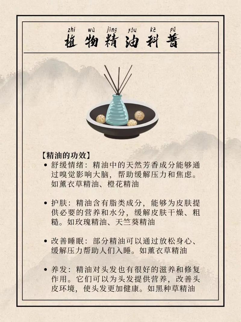 减肥精油的原理是什么意思